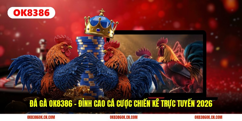 Đá Gà OK8386 – Đỉnh Cao Cá Cược Chiến Kê Trực Tuyến 2026