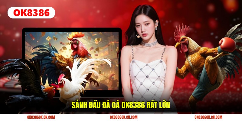 Sảnh đấu đá gà OK8386 rất lớn