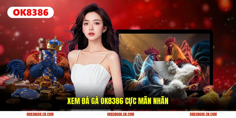 Xem đá gà OK8386 cực mãn nhãn